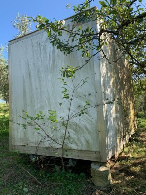 WhatsApp Image 2024-10-08 at 17.42.57 (1).jpeg (168.42 KiB) Osservato 1685 volte WhatsApp Image 2024-10-08 at 17.42.57 (1).jpeg