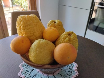 1000003157.jpg (98.21 KiB) Osservato 157 volte 1000003157.jpg