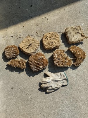 IMG_20260313_102522.jpg (220.57 KiB) Osservato 6 volte IMG_20260313_102522.jpg