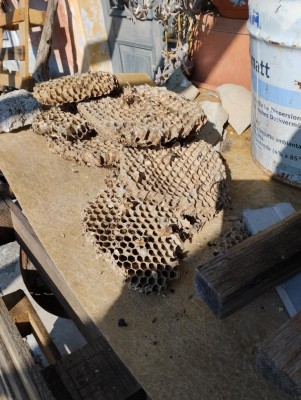 IMG_20260313_102403.jpg (146.81 KiB) Osservato 6 volte IMG_20260313_102403.jpg