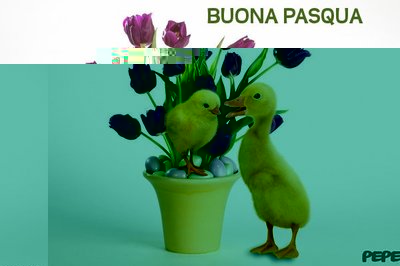 buona_pasqua.jpg (29.16 KiB) Osservato 643 volte buona_pasqua.jpg