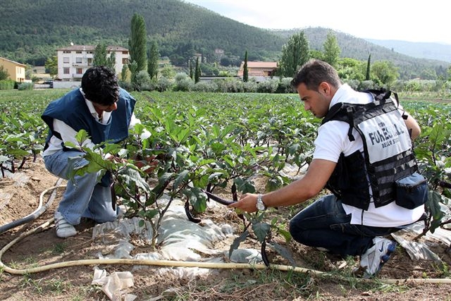 2IMG_0260.jpg 2IMG_0260.jpg