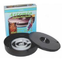 schiuditoio.jpg schiuditoio.jpg