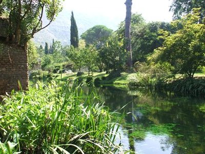 Nel giardino di Ninfa... luogo magico e incantato che tutti dovrebbero visitare... / Ninfa fiume.JPG Ninfa fiume.JPG
