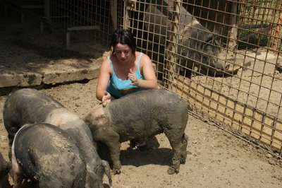 DSC08893.JPG (270.11 KiB) Osservato 617 volte DSC08893.JPG