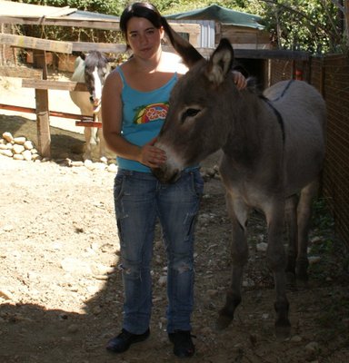 contessina.jpg (120.6 KiB) Osservato 617 volte contessina.jpg