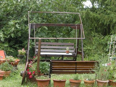 DSCN8027.JPG (185.96 KiB) Osservato 840 volte DSCN8027.JPG