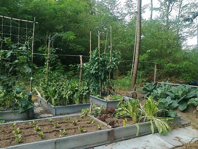 Orto Mantovano1.jpg (180.74 KiB) Osservato 978 volte Orto Mantovano1.jpg