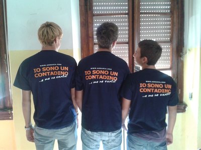 novo.jpg (151.32 KiB) Osservato 841 volte novo.jpg