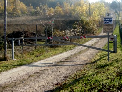 DSCN9777.JPG (195.46 KiB) Osservato 1036 volte DSCN9777.JPG