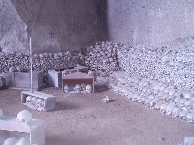 PA304796.JPG (234.59 KiB) Osservato 598 volte PA304796.JPG