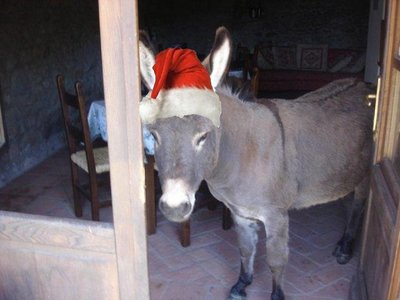 otello3.jpg (90.6 KiB) Osservato 544 volte otello3.jpg