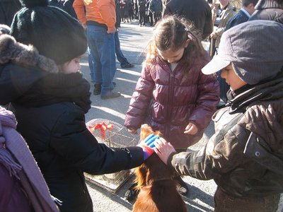 la mia Lilla accarezzata dai bimbi dopo la benedizione / Lilla - IMG_3427.jpg Lilla - IMG_3427.jpg