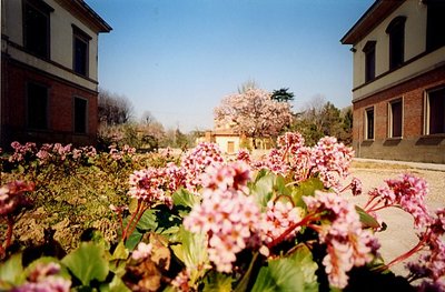 itas 3.jpg (87.56 KiB) Osservato 1276 volte itas 3.jpg