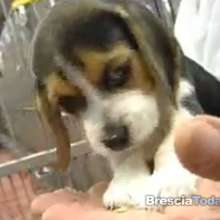 green hill-10.jpg green hill-10.jpg