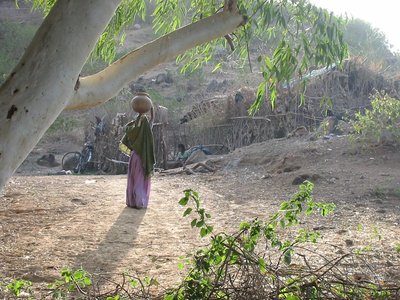 India Ranakpur - IMG_6904.jpg (213.93 KiB) Osservato 642 volte India Ranakpur - IMG_6904.jpg