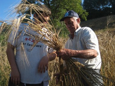 rino insegna.jpg (171 KiB) Osservato 711 volte rino insegna.jpg