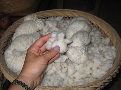 cotone.jpg (109.04 KiB) Osservato 739 volte cotone.jpg