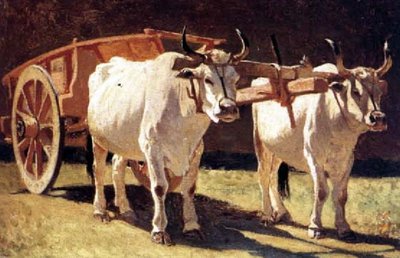 Marchigiane.jpg (77 KiB) Osservato 736 volte Marchigiane.jpg