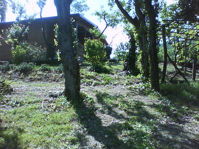 DSC00207.JPG (89.04 KiB) Osservato 936 volte DSC00207.JPG