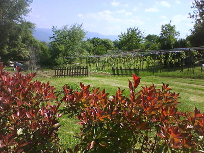 DSC00209.JPG (74.76 KiB) Osservato 936 volte DSC00209.JPG