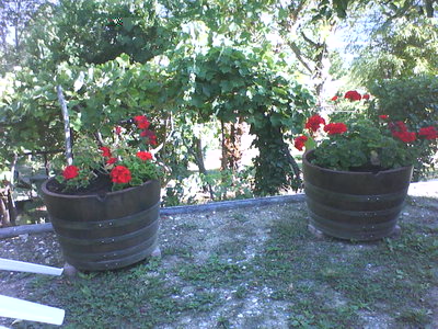 DSC00291.JPG (80.65 KiB) Osservato 936 volte DSC00291.JPG