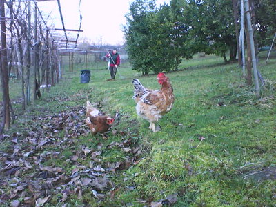 DSC00436.JPG (73.67 KiB) Osservato 729 volte DSC00436.JPG