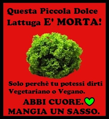 423958_301399333258473_143655319032876_821019_526783568_n.jpg (50.13 KiB) Osservato 624 volte 423958_301399333258473_143655319032876_821019_526783568_n.jpg