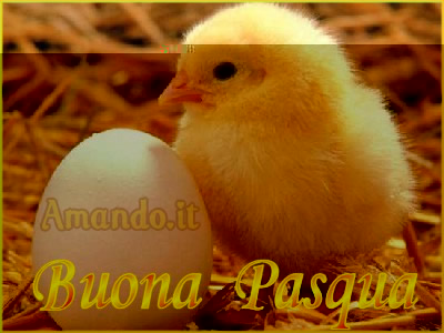 buona pasqua.jpg buona pasqua.jpg