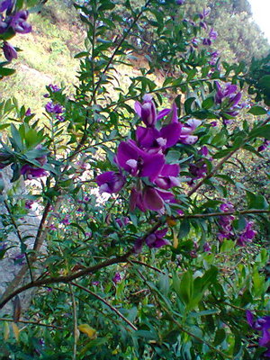 Foto0142.jpg (111.69 KiB) Osservato 1019 volte Foto0142.jpg