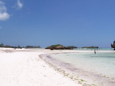 rid watamu beach .jpg (82 KiB) Osservato 650 volte rid watamu beach .jpg