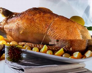 oca ripiena.jpg oca ripiena.jpg