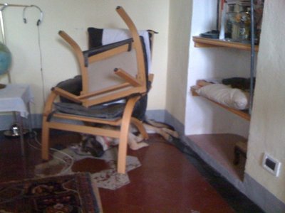 Che stanco sono.jpg (102.18 KiB) Osservato 1127 volte Che stanco sono.jpg