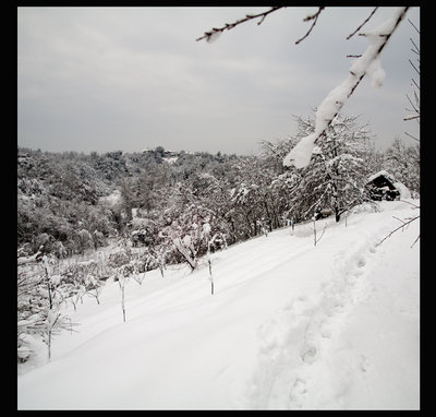 7.jpg (243.5 KiB) Osservato 723 volte 7.jpg