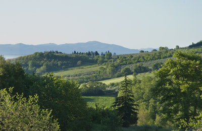 primo mattino  2.jpg (369.34 KiB) Osservato 743 volte primo mattino  2.jpg