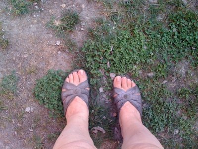 piedi.JPG (329.36 KiB) Osservato 589 volte piedi.JPG