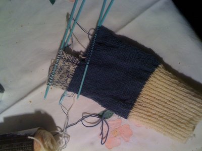 calzetta.jpg (158.37 KiB) Osservato 918 volte calzetta.jpg