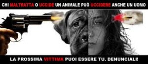 images_1_-9-fef49.jpg images_1_-9-fef49.jpg