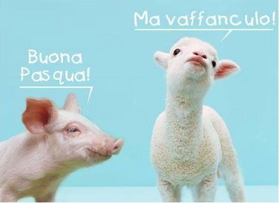 buona pascua.JPG (18.11 KiB) Osservato 514 volte buona pascua.JPG