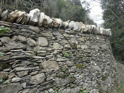 Foto muro percorso mulini di Nervi a Genova / DSC02784 (FILEminimizer).JPG DSC02784 (FILEminimizer).JPG