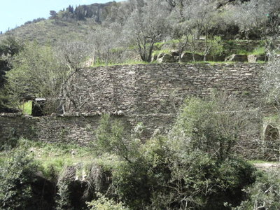 Muri lungo il percorso dei mulini di Nervi a Genova / DSC02802 (FILEminimizer).JPG DSC02802 (FILEminimizer).JPG