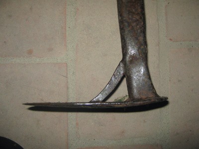 img_2916p.jpg img_2916p.jpg