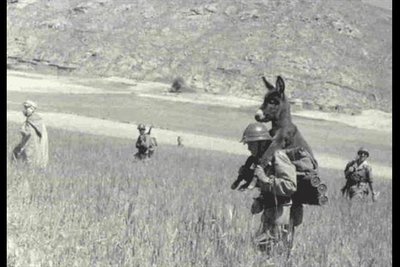 image.jpg (89.18 KiB) Osservato 1035 volte image.jpg