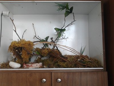 100lx50hx40p / Foto0427.jpg Foto0427.jpg