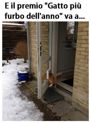 image.jpg (84.25 KiB) Osservato 1192 volte image.jpg