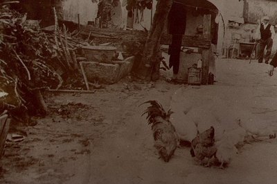 sp.jpg (94.58 KiB) Osservato 1142 volte sp.jpg