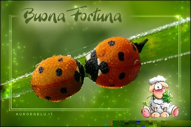 "Con tutto il cuore" / image.jpg image.jpg