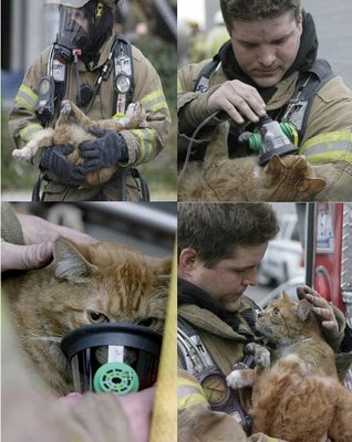 image.jpg (146.73 KiB) Osservato 1003 volte image.jpg