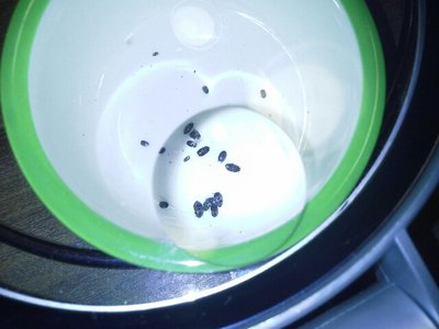 20130728_103904_resized.jpg (202.02 KiB) Osservato 644 volte 20130728_103904_resized.jpg