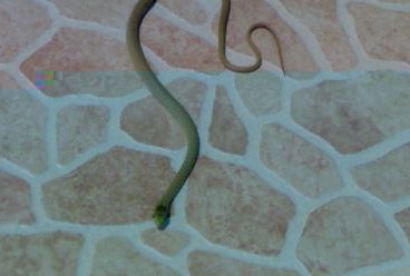 309794050.jpg 309794050.jpg